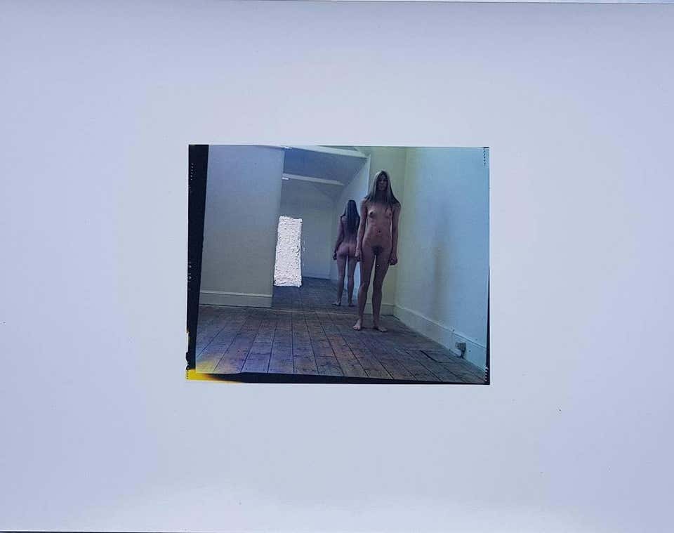 Dye Transfer Study