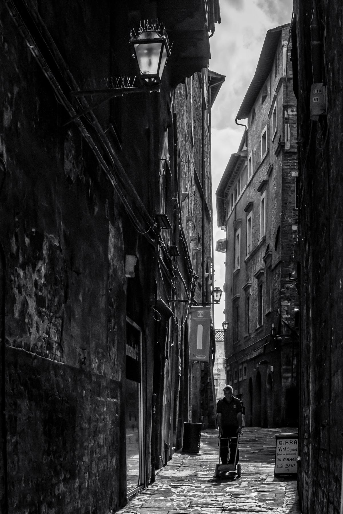 Landscape Photograph di Robert Greatrix - Consegna del mattino, Pengia Italia
