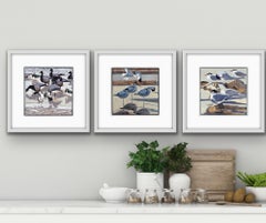 Brents and Lapwings, Four Avocets and Arctic Terns Triptych