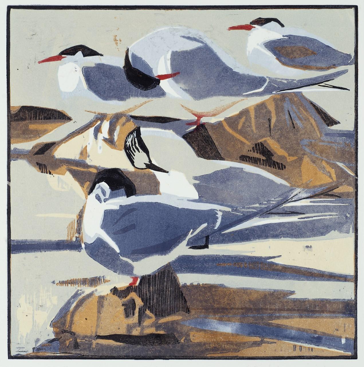 Brents and Lapwings, Four Avocets and Arctic Terns Triptych - Contemporary Print by Robert Greenhalf