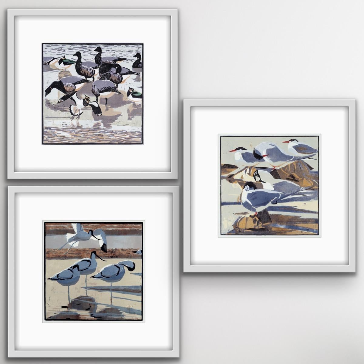 Robert Greenhalf Animal Print - Brents and Lapwings, Four Avocets and Arctic Terns Triptych