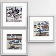 Drei Avocets und Lapwings, vier Arctic Terns Triptychon
