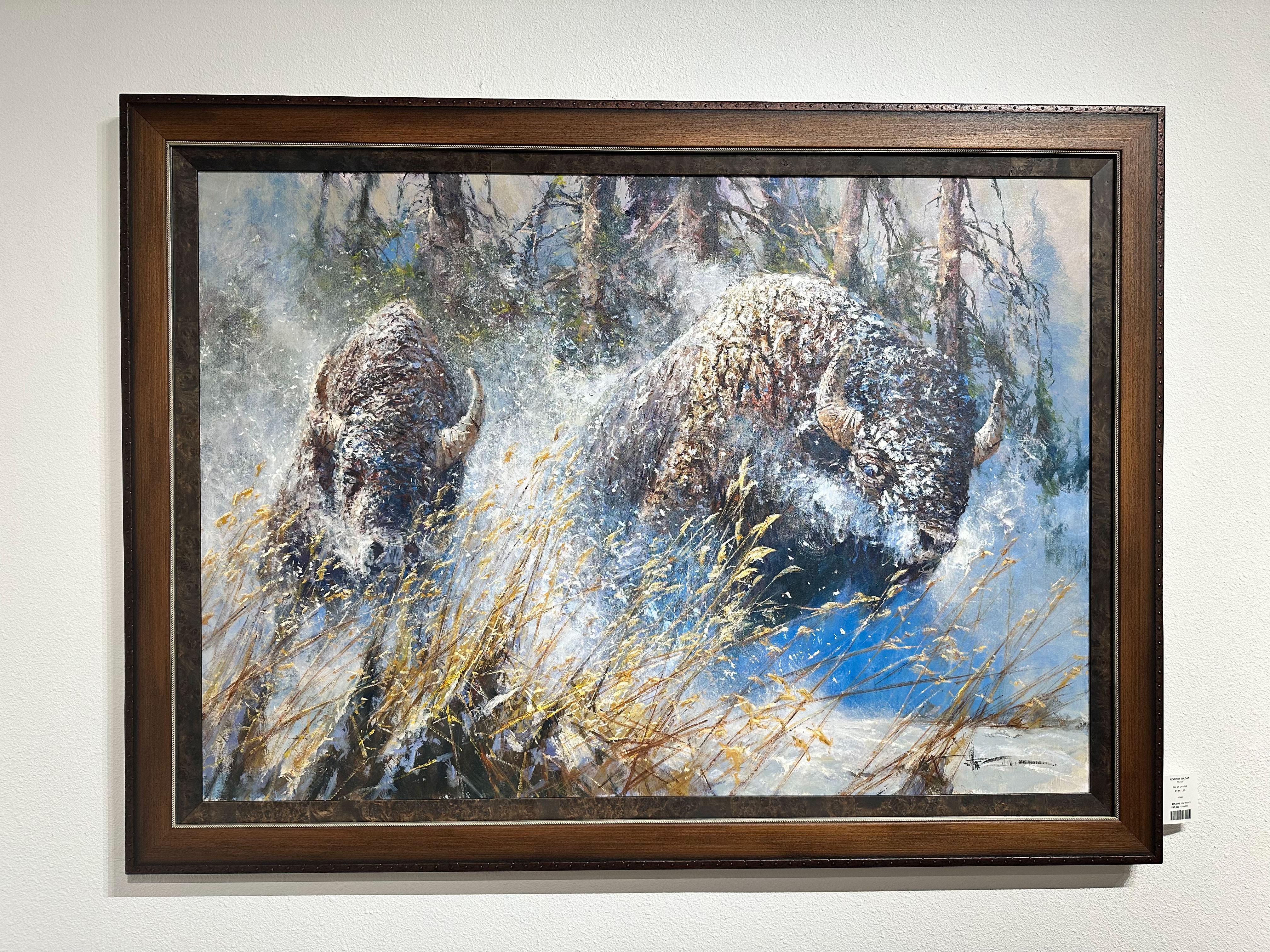 « Startled », Robert Hagan, 42x60, huile sur toile, Western, Impressionnisme, Buffalo en vente 1