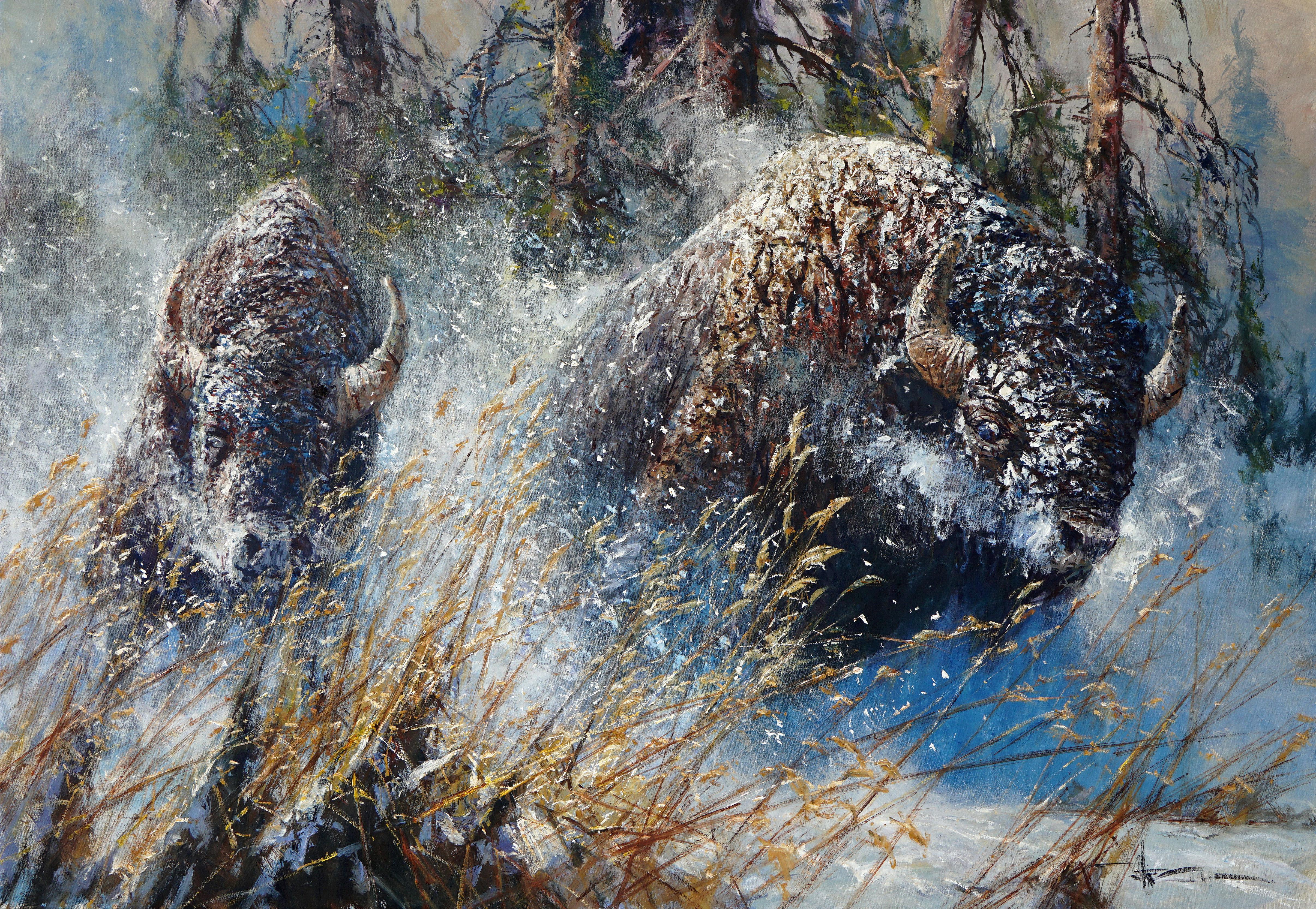"Startled" de Robert Hagan est une huile originale sur toile et mesure 42x60.  Dans cette grande peinture originale de Robert Hagan,  Deux bisons d'Amérique bruns et poilus labourent les bancs de neige du célèbre parc national de Yellowstone.  Après