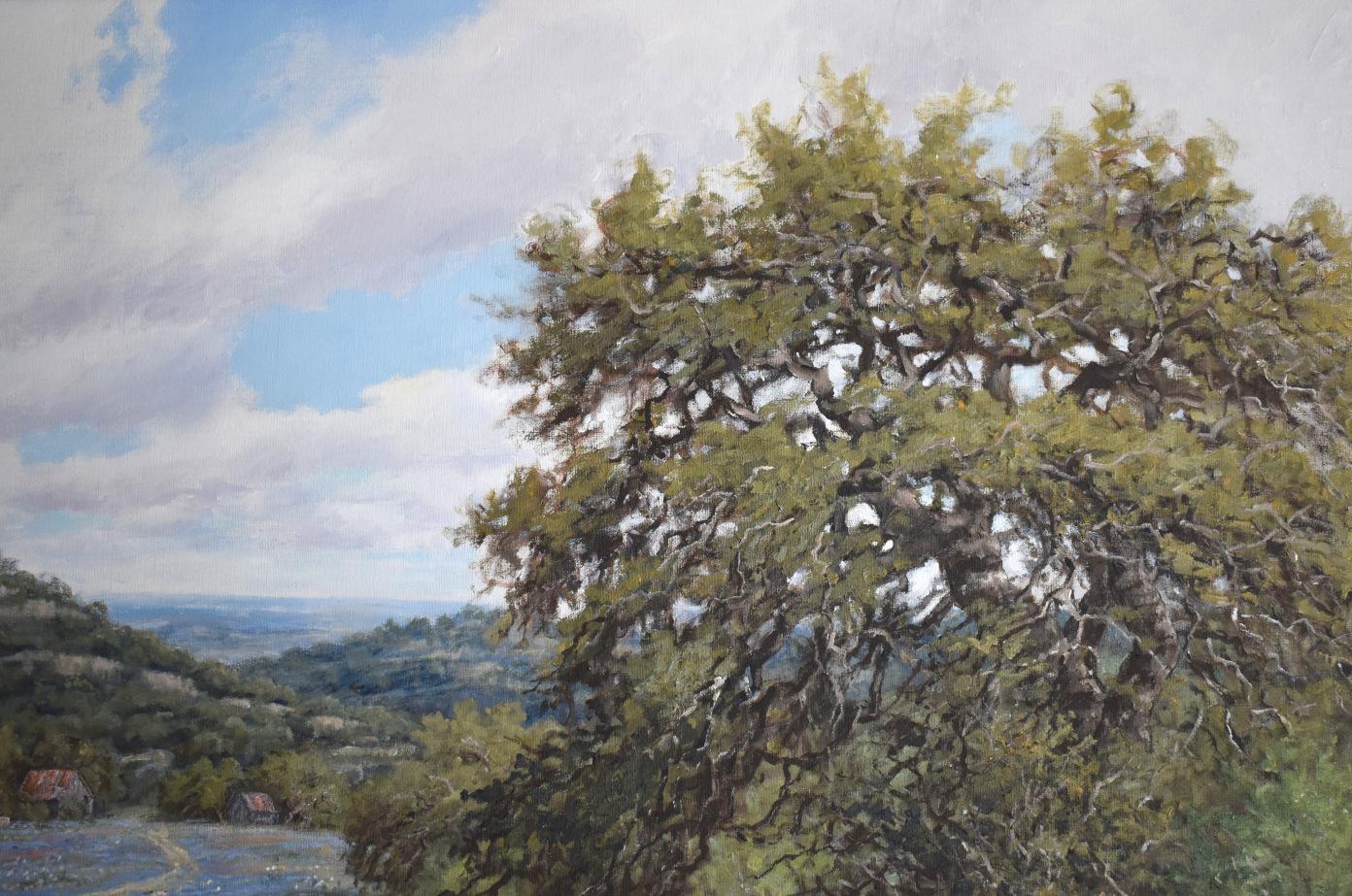 Robert Harrison
(Born 1949)
San Antonio Artist
Image Size: 30 x 40
Frame Size: 38 x 48
Medium: Oil on Canvas
