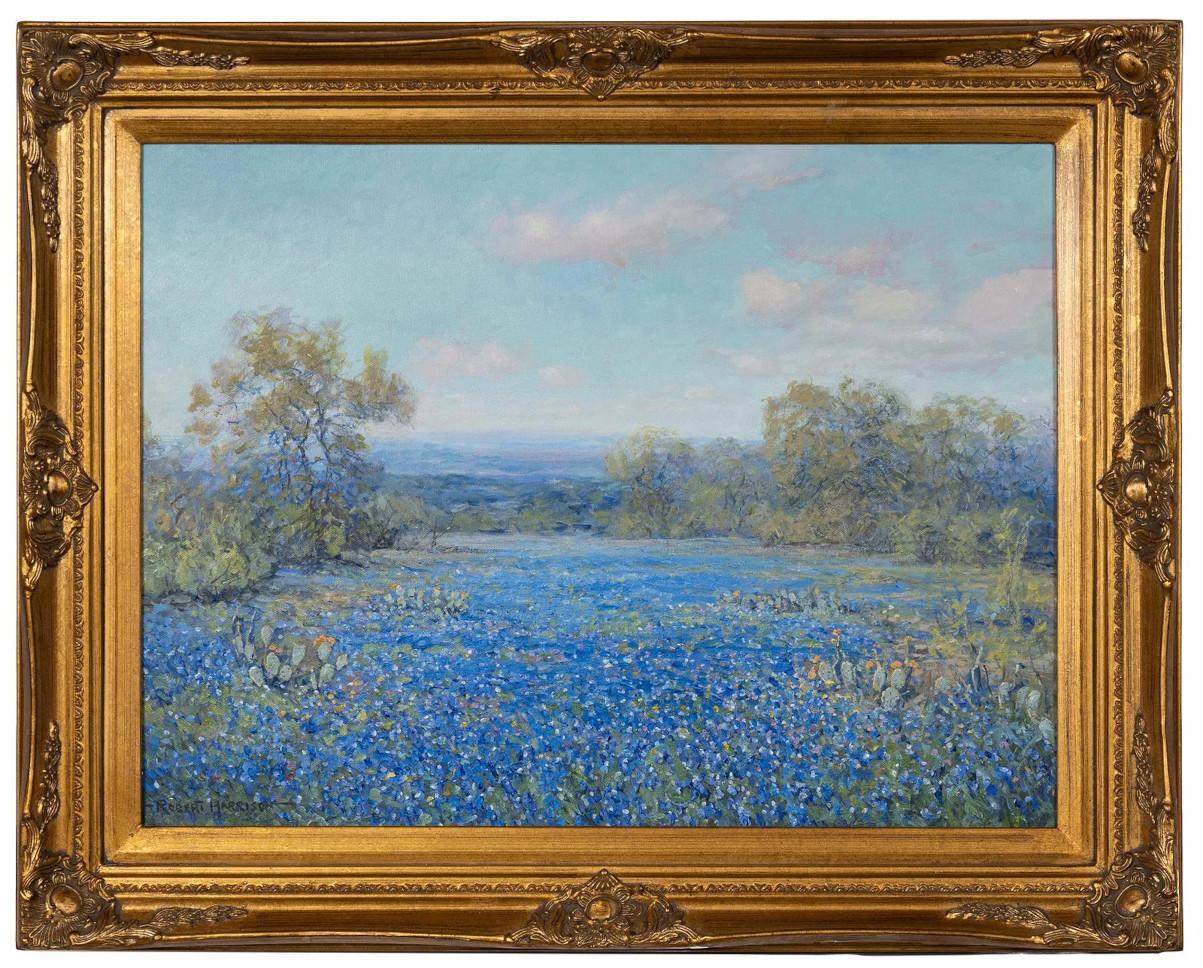 "SEA OF BLUE" BLUEBONNETS TEXAS HILL COUNTRY TEXAS WILDFLOWERS