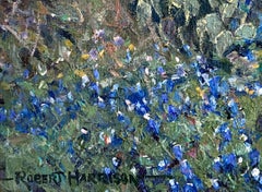 "SPRINGTIME"  BLUEBONNET TEXAS HILL COUNTRY  RANCH WILDFLOWERS