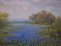 TEXAS BLUEBONNETS TEXAS HILL COUNTRY TEXAS WILDFLOWERS