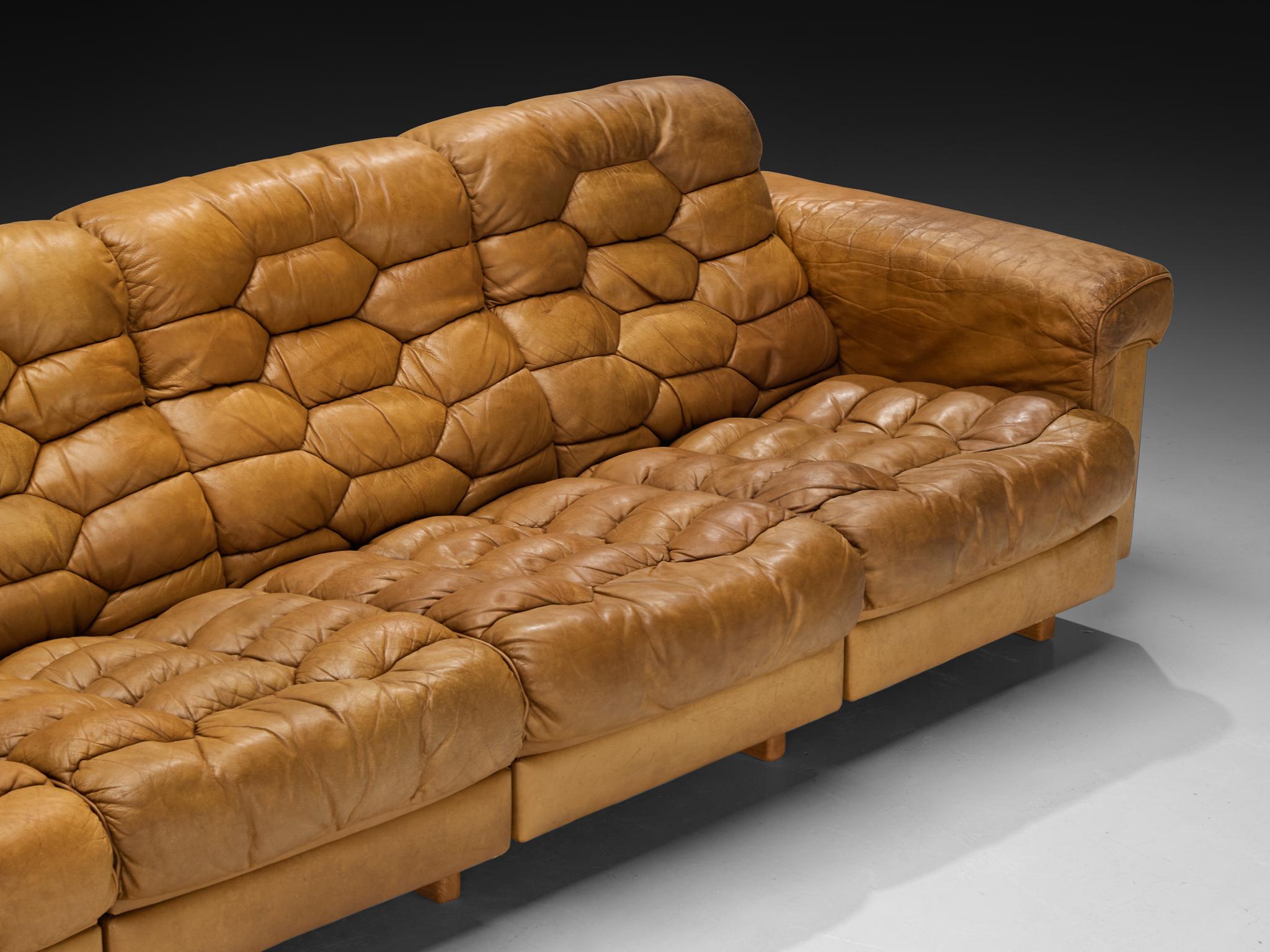 Robert Haussmann for De Sede 'DS-P' Divani in pelle marrone cammello & Oak In condizioni buone in vendita a Waalwijk, NL