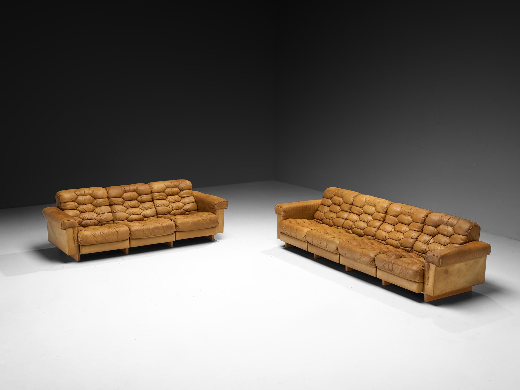 Metà XX secolo Robert Haussmann for De Sede 'DS-P' Divani in pelle marrone cammello & Oak in vendita