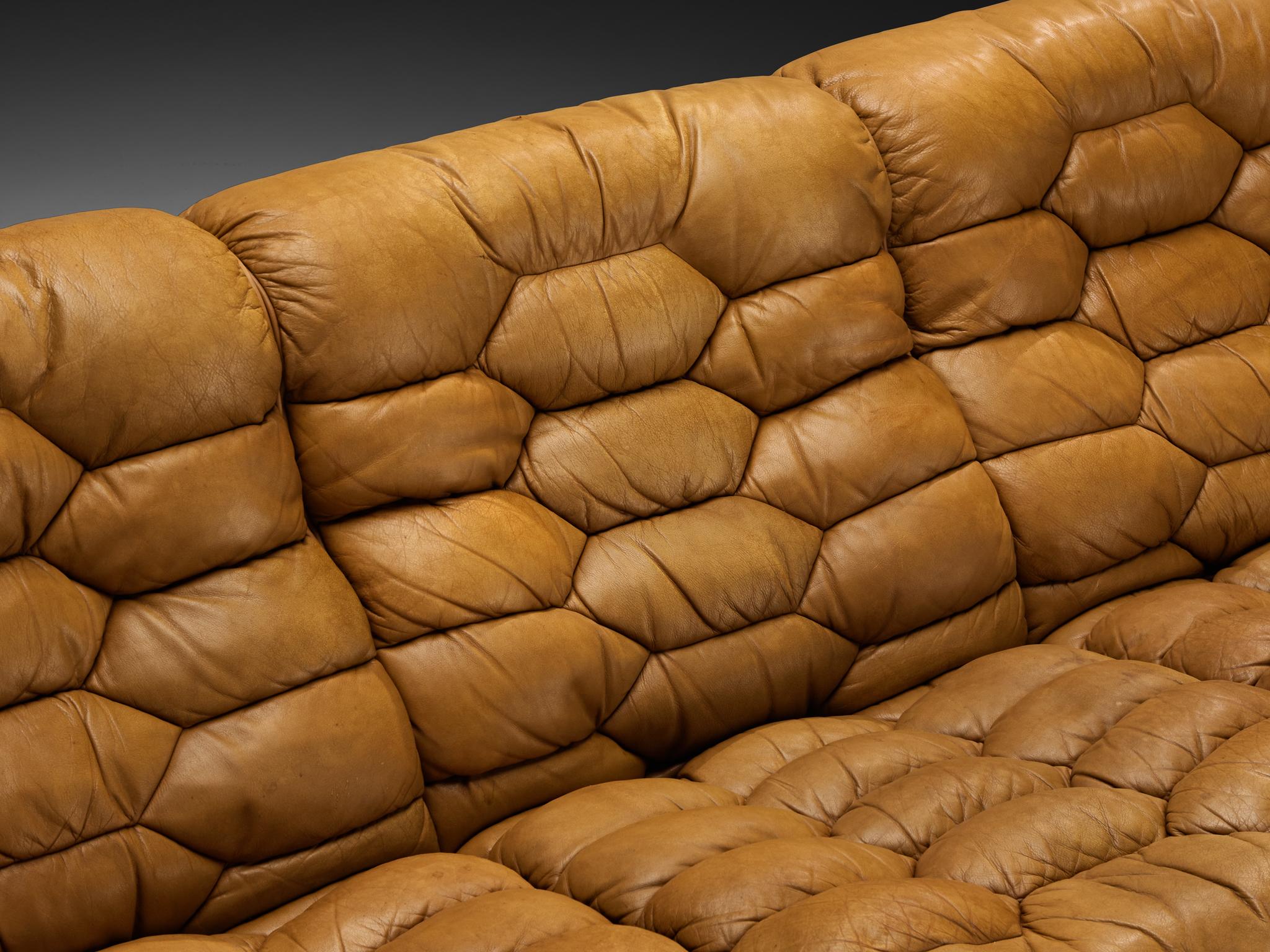 Pelle Robert Haussmann for De Sede 'DS-P' Divani in pelle marrone cammello & Oak in vendita