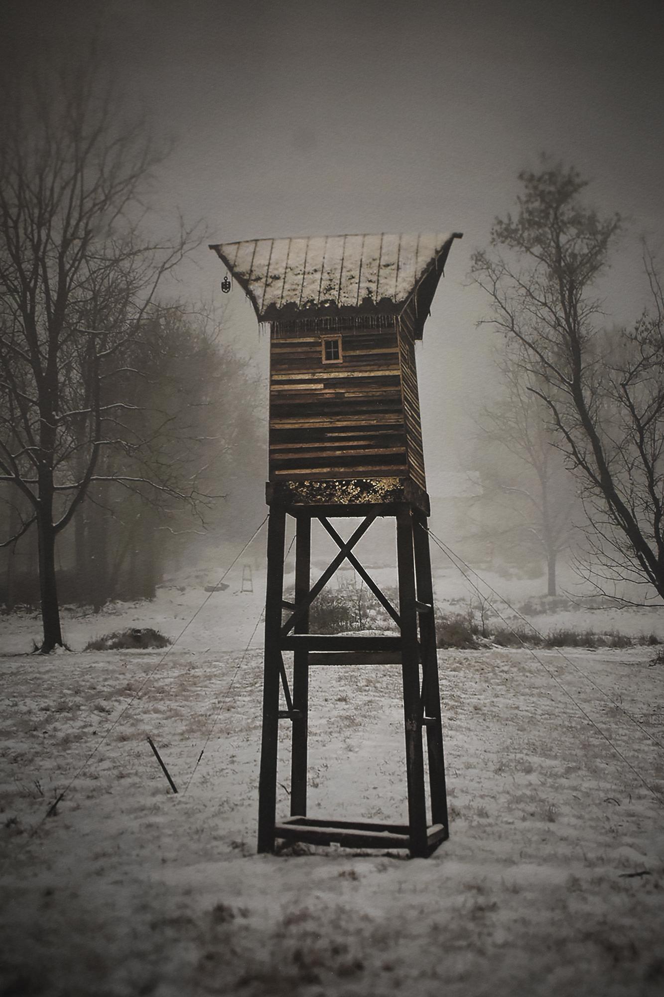 Watch Tower (Contemporary Black & White Landscape Photo of Structure in Woods) 2