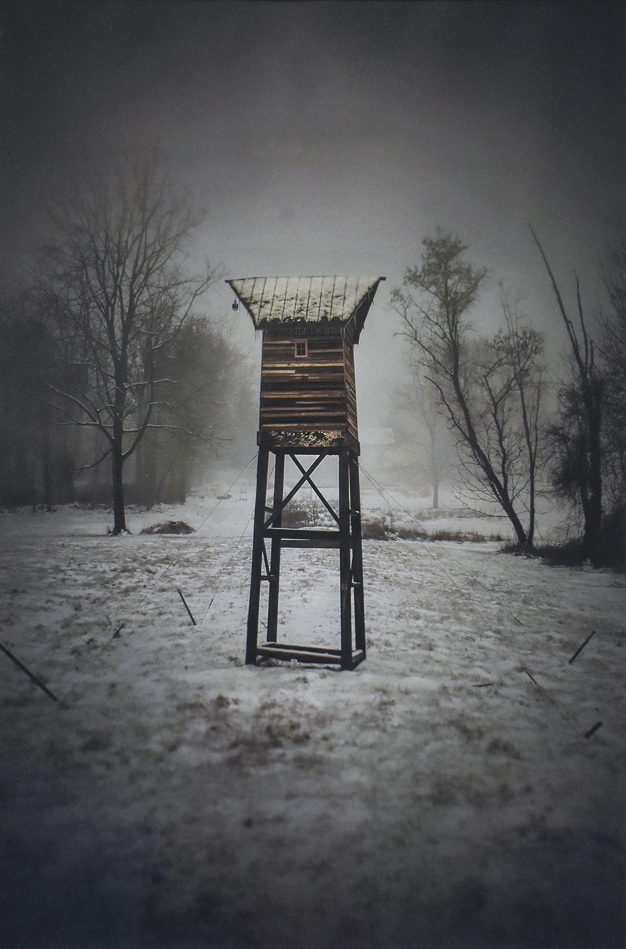 Robert Hite Black and White Photograph - Watch Tower (Contemporary Black & White Landscape Photo of Structure in Woods)