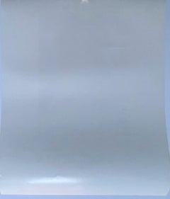 Robert Irwin - Ver es olvidar cartel litografía offset Arte minimalista