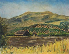 Collina di San Jose, 1948 - Olio su tela