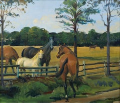 Horses in a paddock