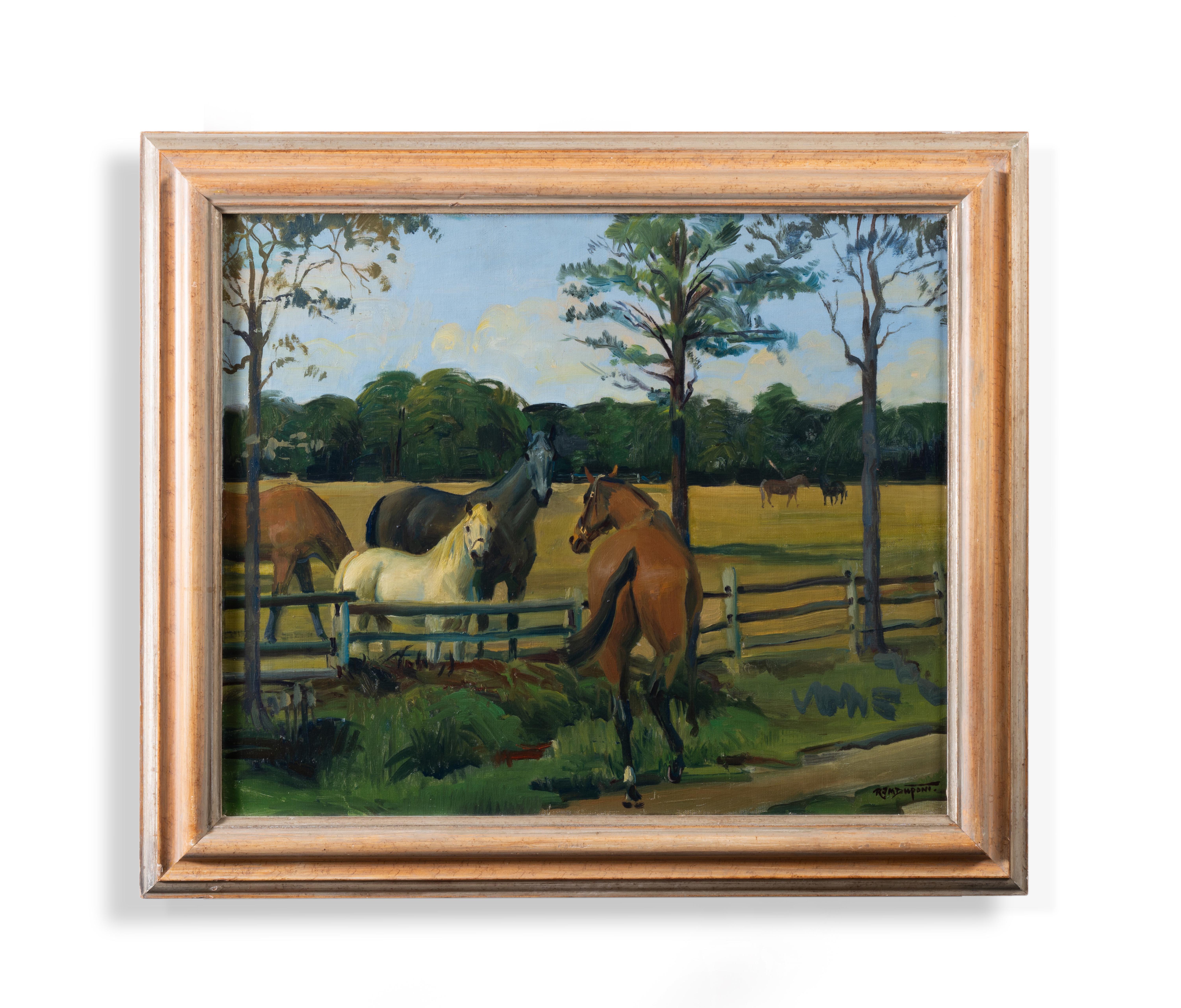 Chevaux dans un enclos