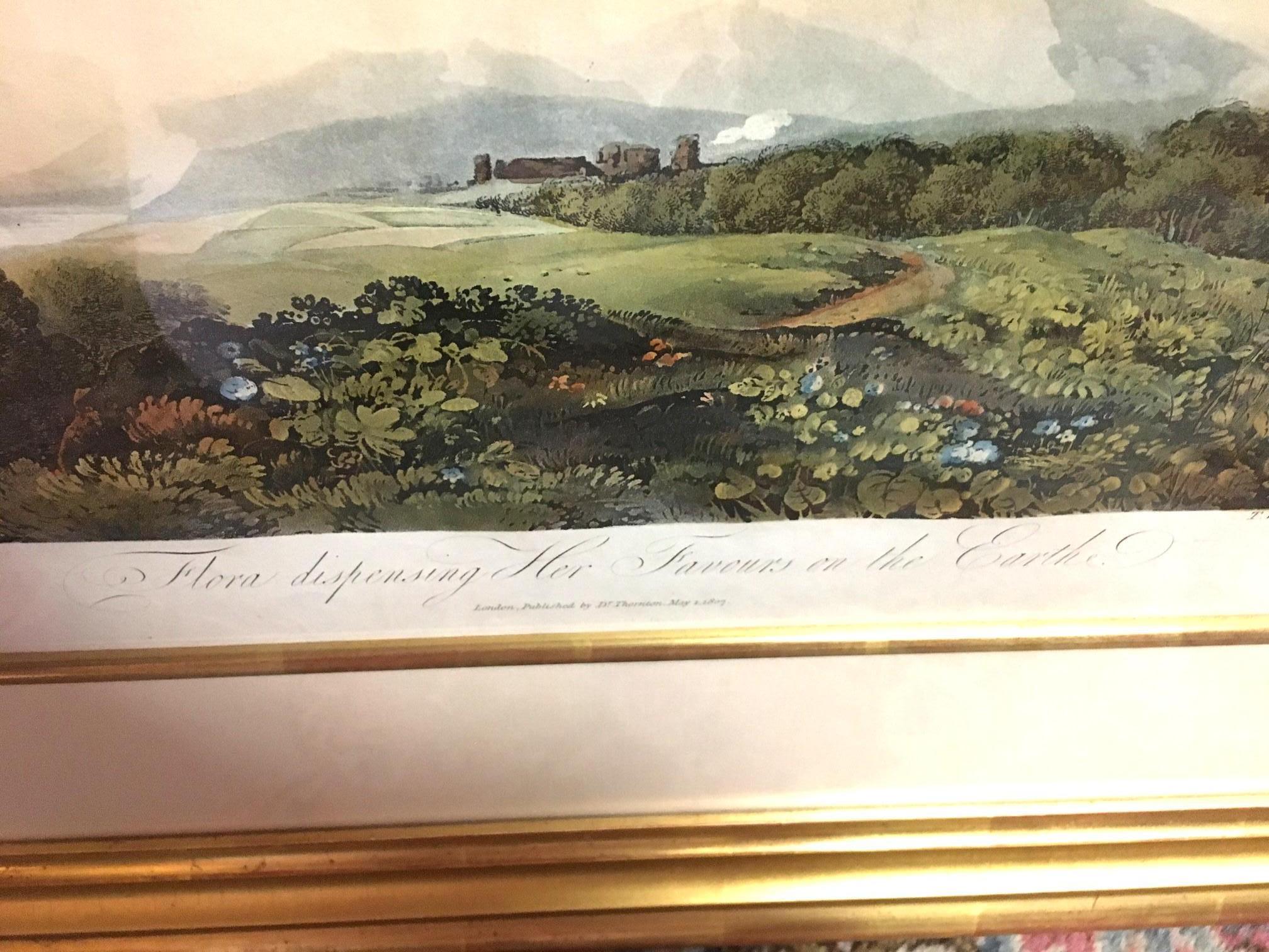 Vetro John Thornton Flora che dispensa i suoi favori dal Tempio di Flora 1807 in vendita