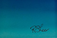 Landscape Photograph Contemporary Modern Performance Art Hawaii Travel Signed