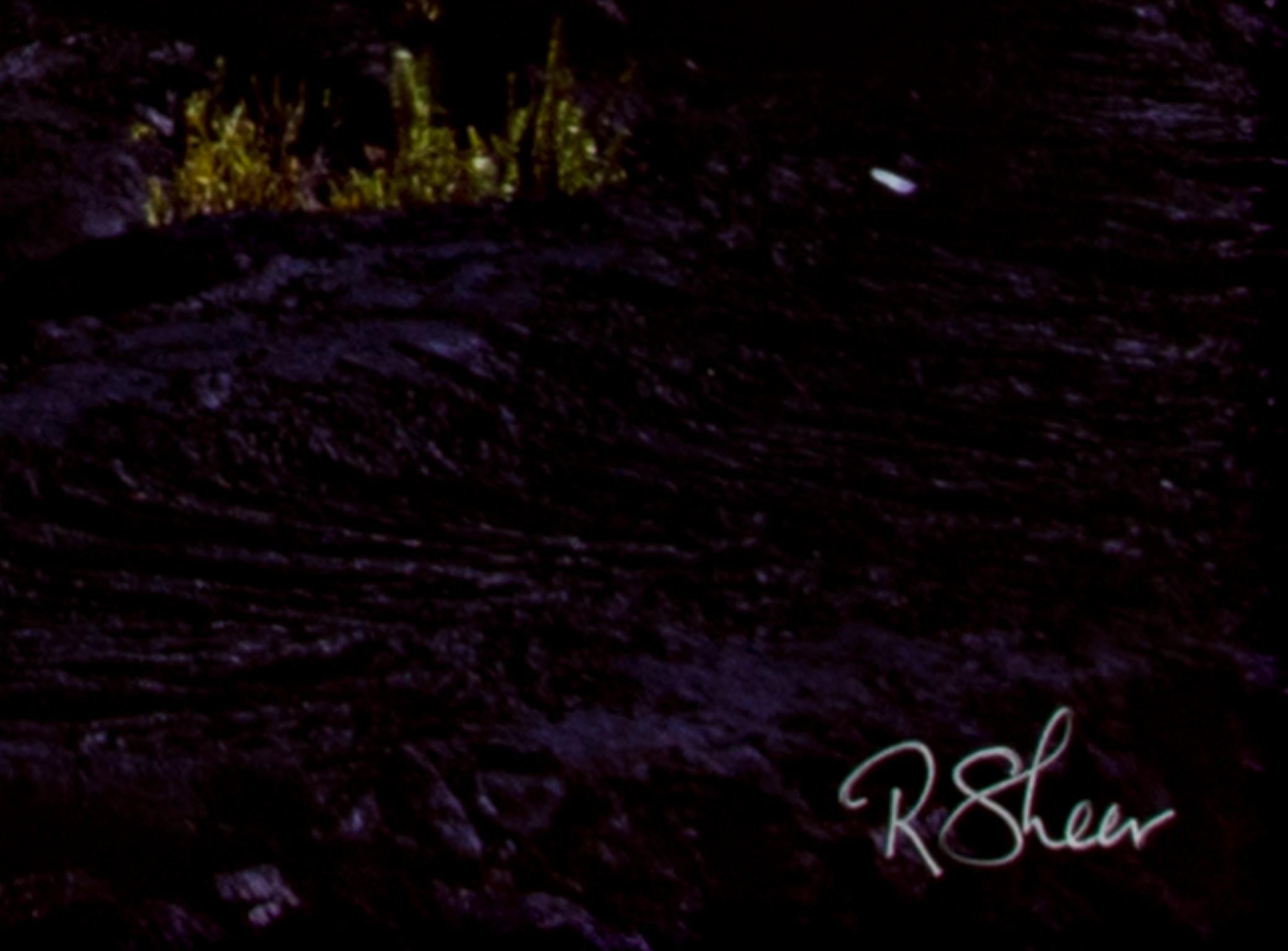 Photographie de paysage Contemporary Modern Performance Art Hawaii Travel Signed en vente 1