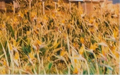 Landscape Photograph Contemporary Modern Performance Art Travel Americana Signed