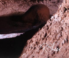 Landscape Photograph Contemporary Modern Performance Art Travel Galaxy Signed