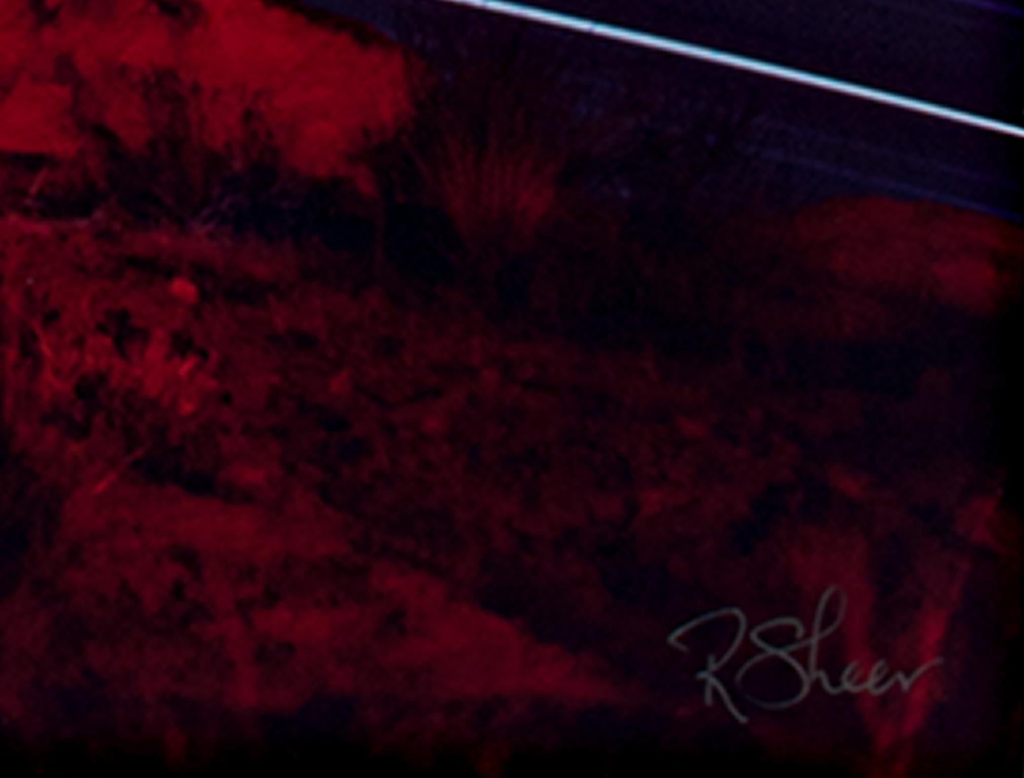 Photographie de paysage Contemporary Modern Performance Art Travel Spiritual Signed - Noir Color Photograph par Robert Kawika Sheer