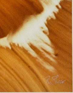 Landscape Photograph Contemporary Modern Performance Art Travel Spiritual Signed