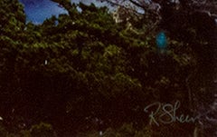 Paesaggio Fotografia Contemporanea Moderna Performance Art Viaggio Spirituale Firmato