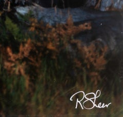 Astrologie Space Outdoors Landschaft Nacht Sterne Performance Fotografie Himmel Signiert