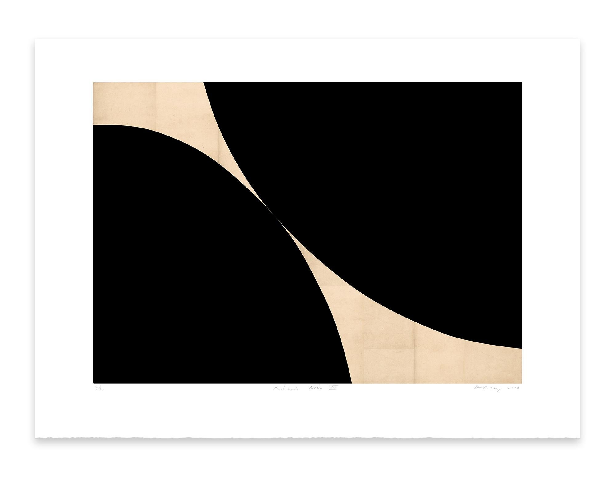 Mimesis Noir III - Abstract Print by Robert Kelly
