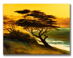 Robert K. White "Cypress Light" Large Signed Oil Painting of Monterey Coast