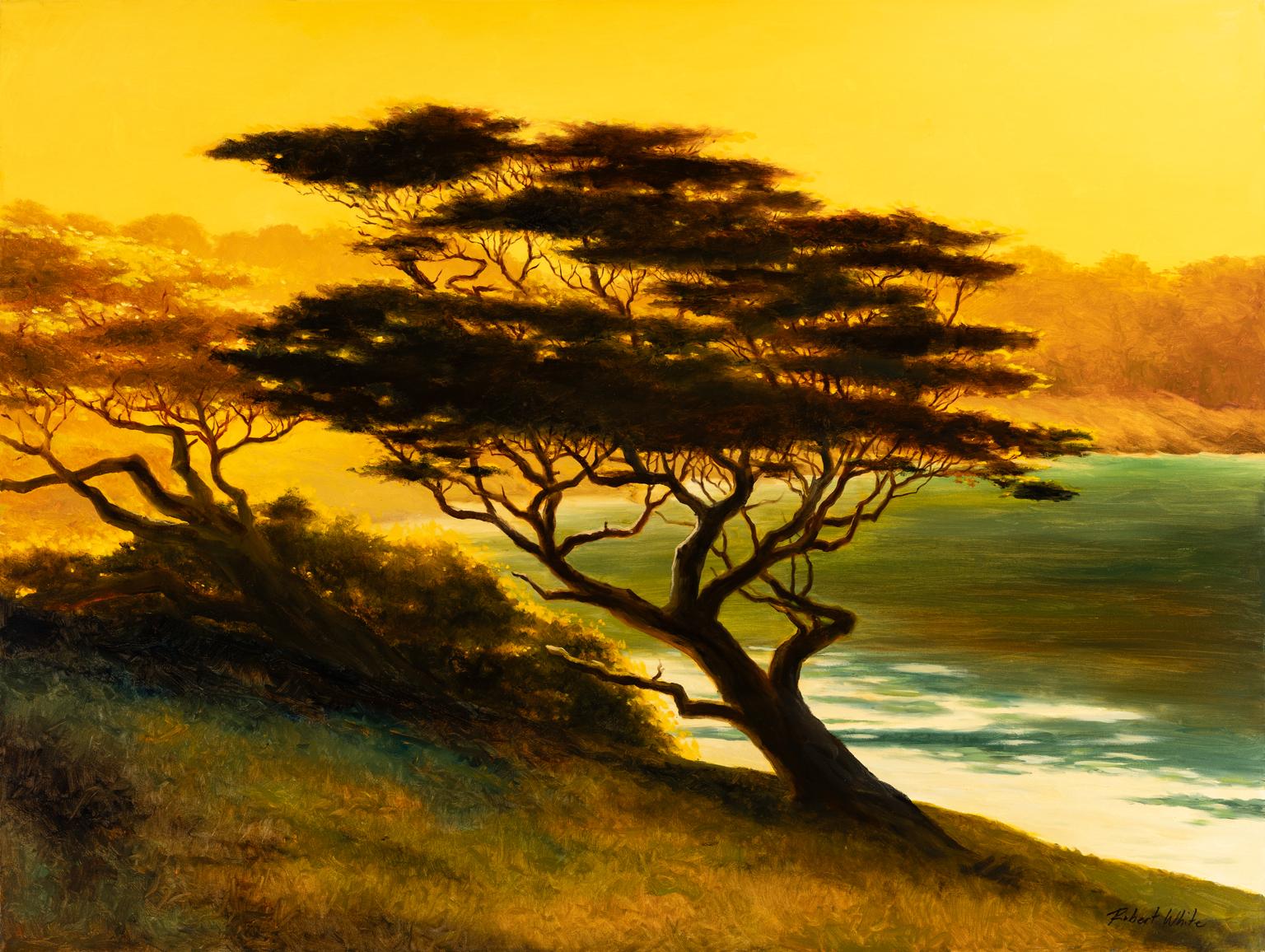Robert Kenneth White Landscape Painting – Robert K. White "Cypress Light" Large Signed Oil Painting of Monterey Coast