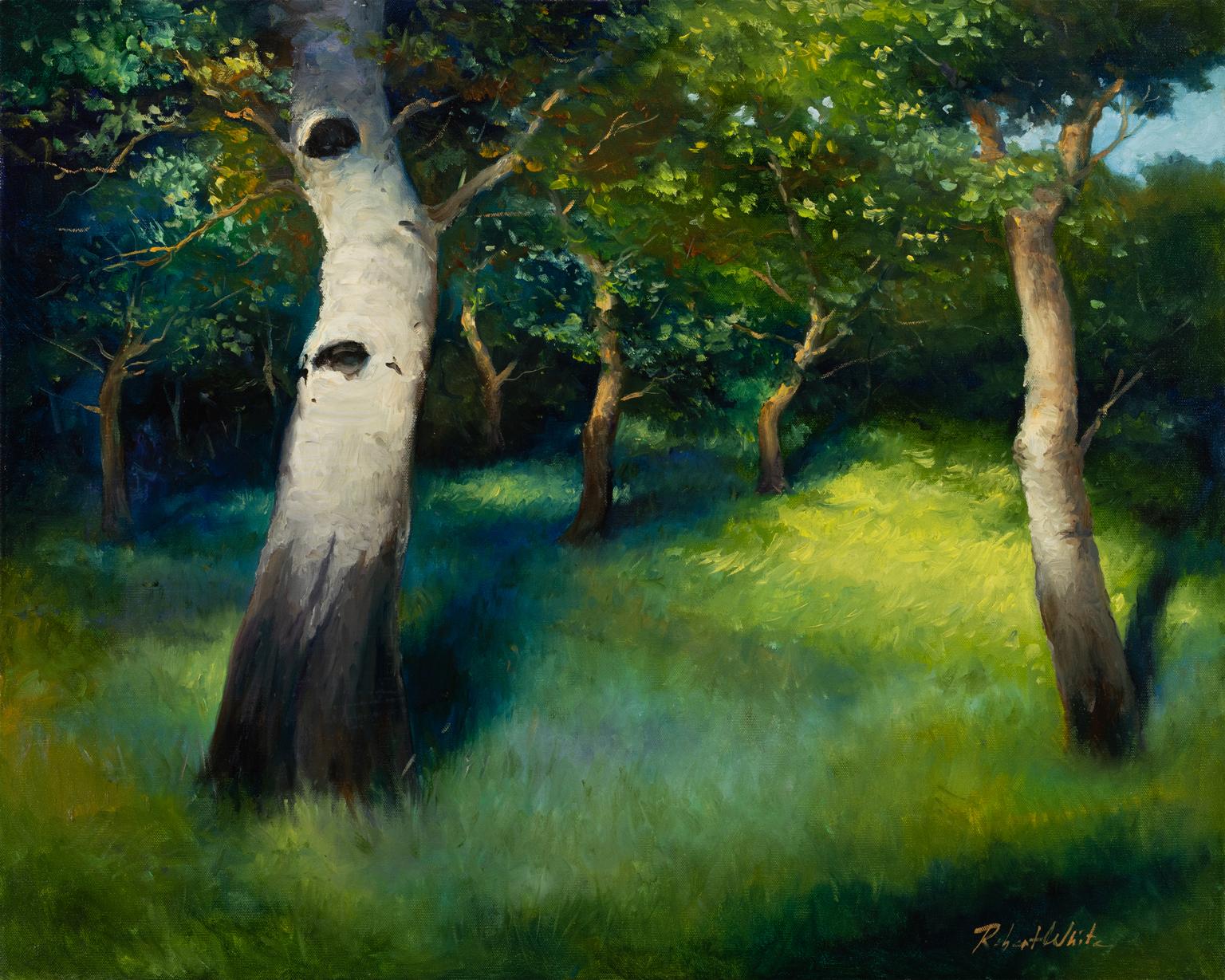 ROBERT KENNETH WHITE - "FRÜHLINGSGRÜN"
⚜ Öl auf Leinwand ⚜ Handsigniert unten rechts ⚜ Rahmenloses Display

LEUCHTENDE WALDSTUDIE IM VORFRÜHLINGSLICHT
In Spring Greens fängt Robert Kenneth White die ruhige Lebendigkeit einer sonnenbeschienenen