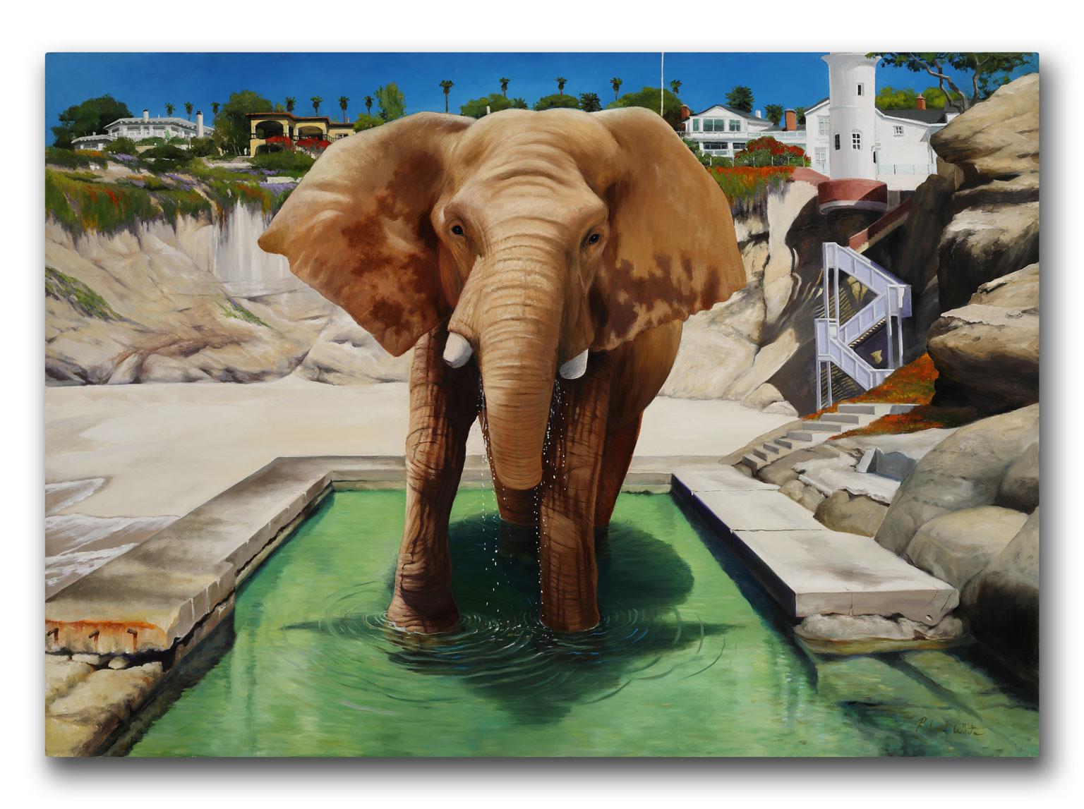 Elephant In The Pool (Lrg Orig.) Peinture à l'huile de Robert White, exposition sans cadre - Painting de Robert Kenneth White