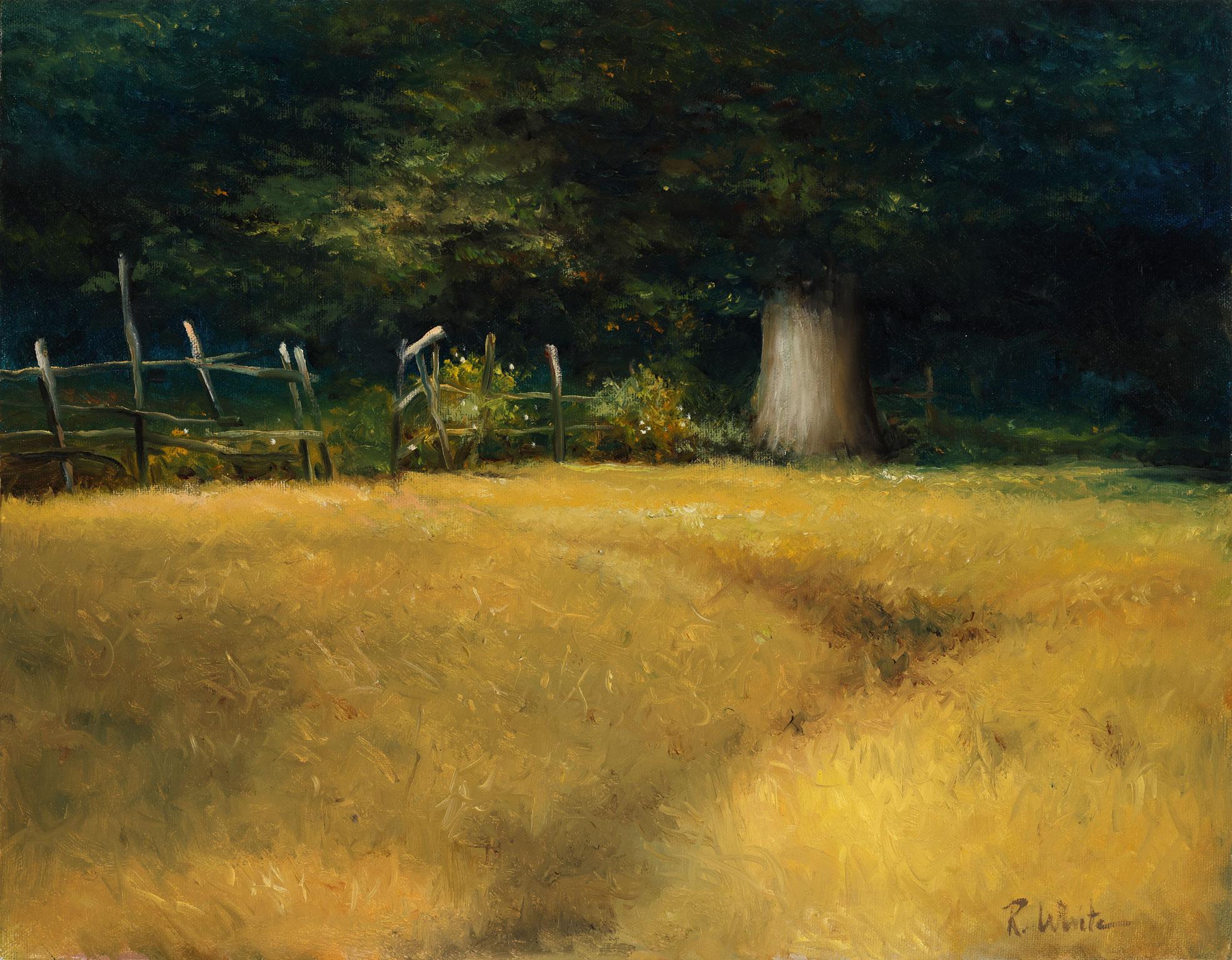 Robert Kenneth White Landscape Painting - Untitled [Landscape] Original Oil Painting by Robert White, Frameless Display