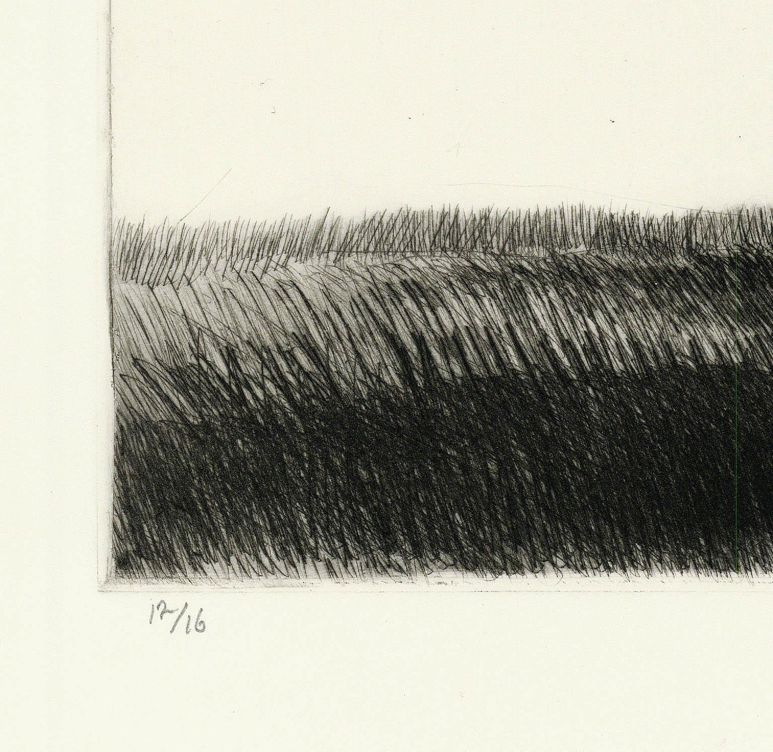 Kleiner Copse auf einem Feld. (Moderne), Print, von Robert Kipniss