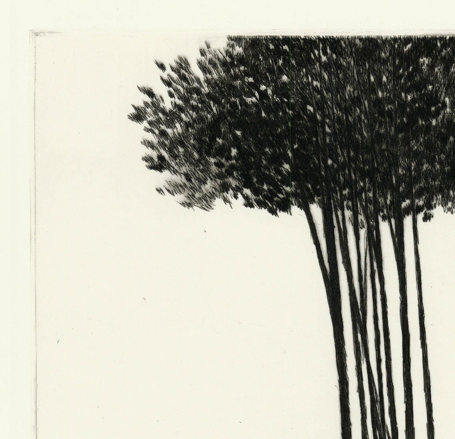 Kleiner Copse auf einem Feld. (Weiß), Landscape Print, von Robert Kipniss