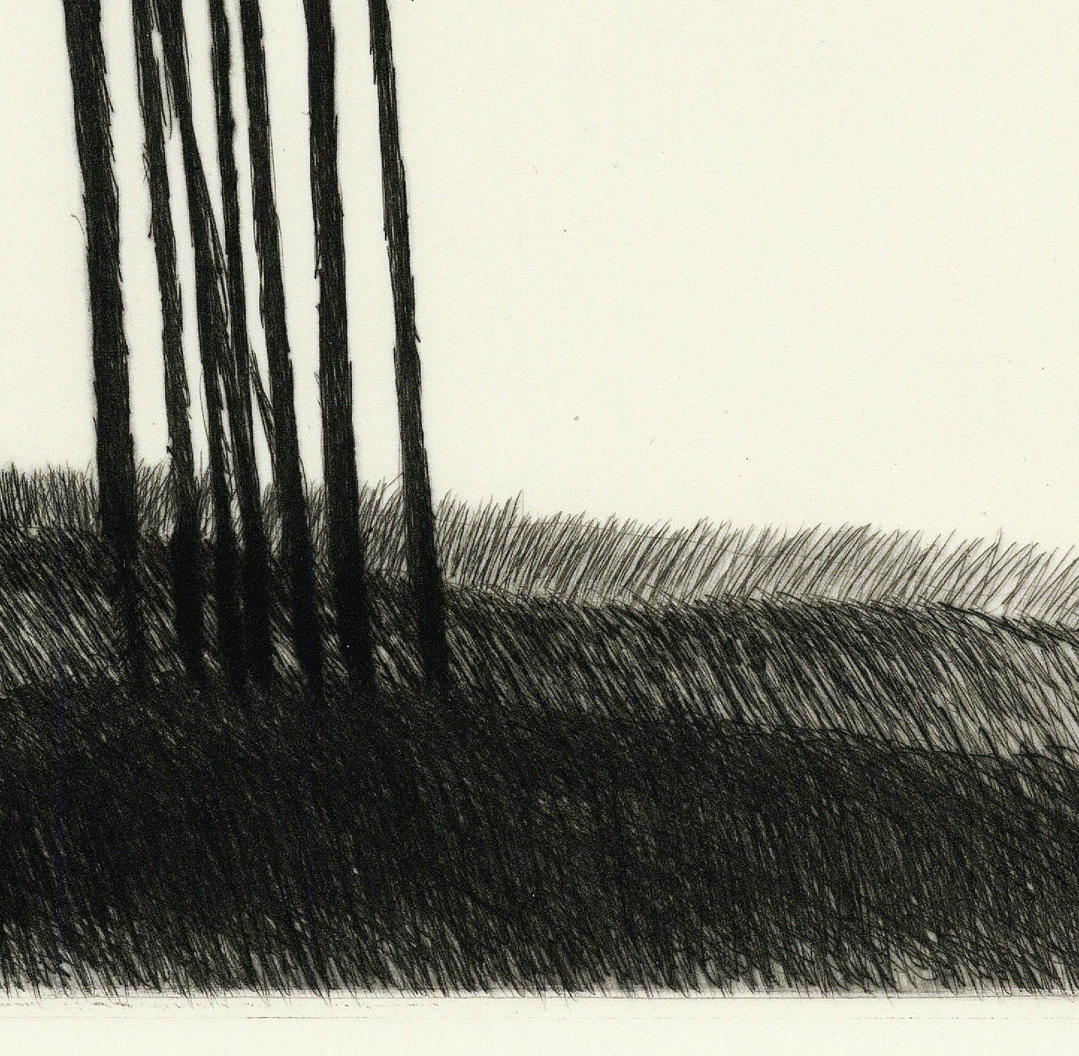 A small copse in a field. - Modern Print by Robert Kipniss