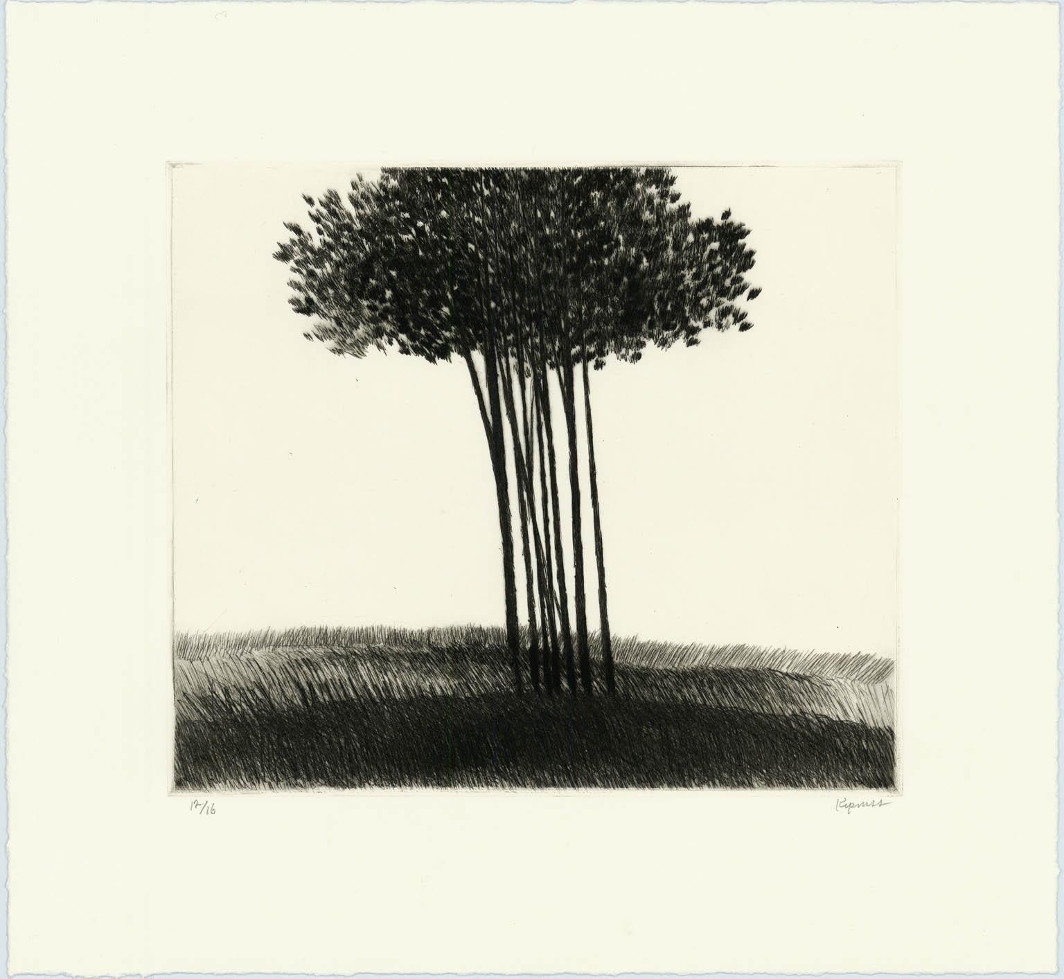 Robert Kipniss Landscape Print – Kleiner Copse auf einem Feld.