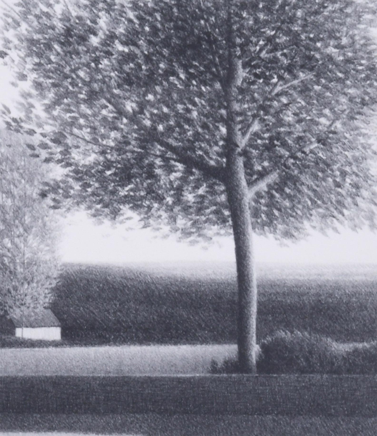 Patio trasero II - Print realista estadounidense de Robert Kipniss
