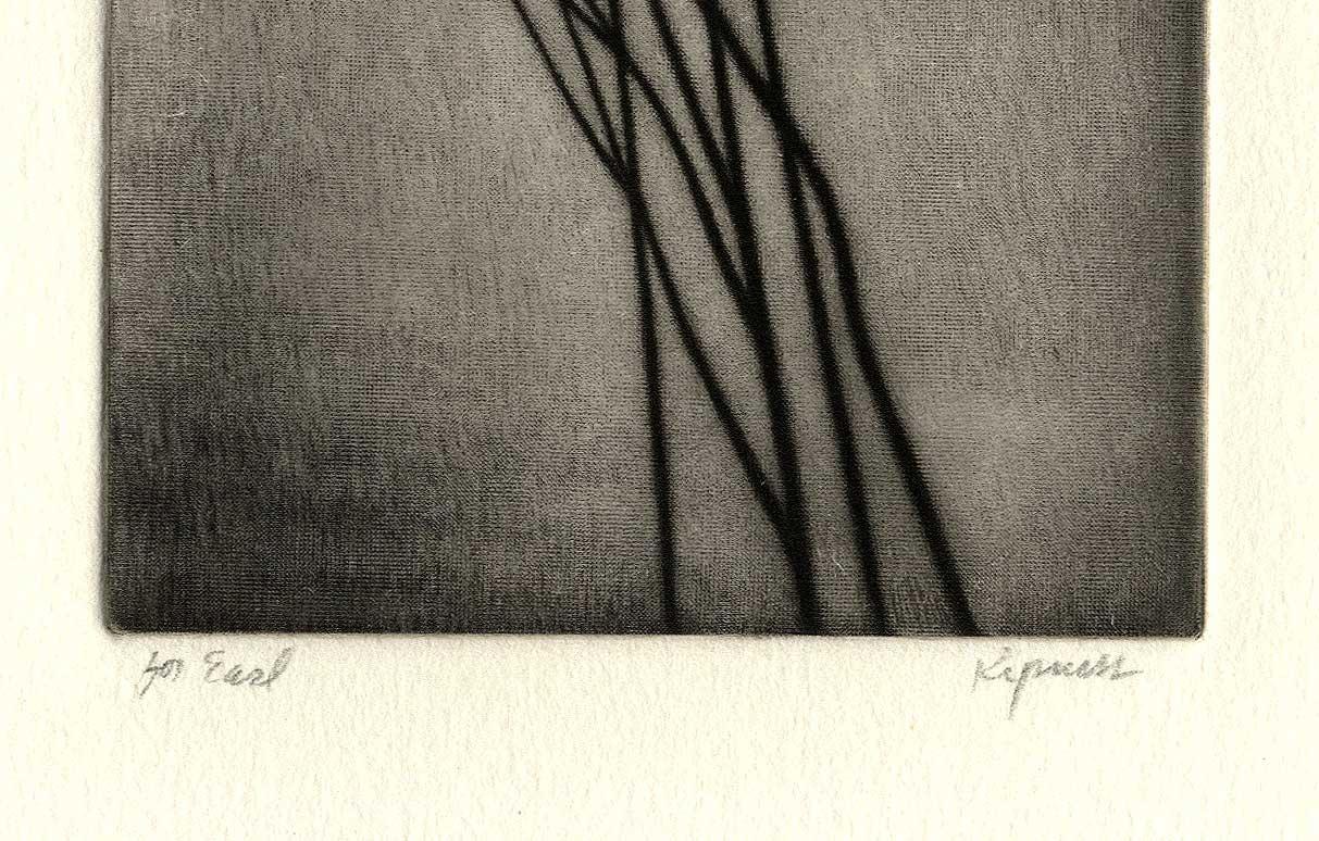 Bare Branches - American Modern Print by Robert Kipniss