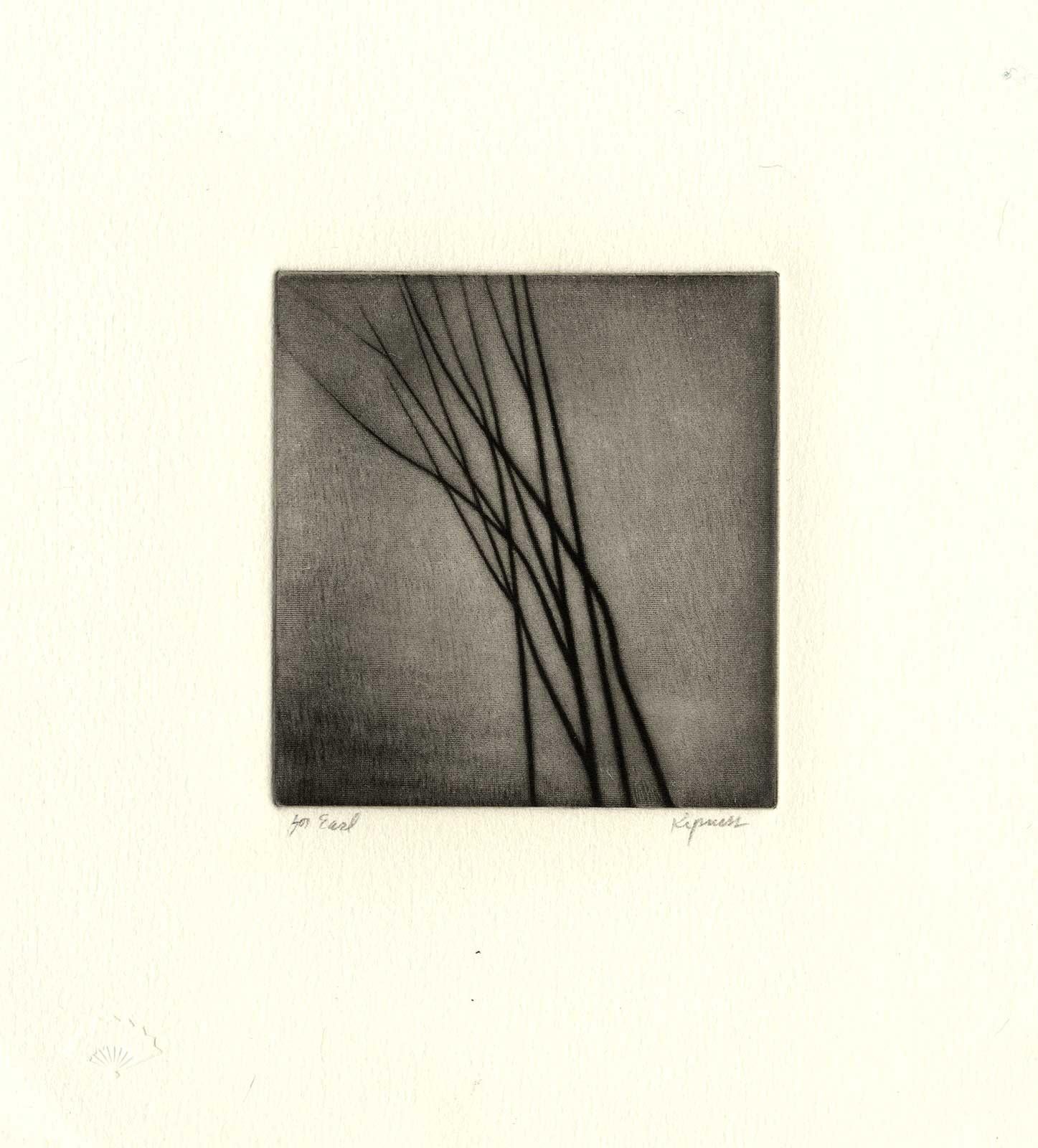 Bare Branches - Gray Still-Life Print by Robert Kipniss