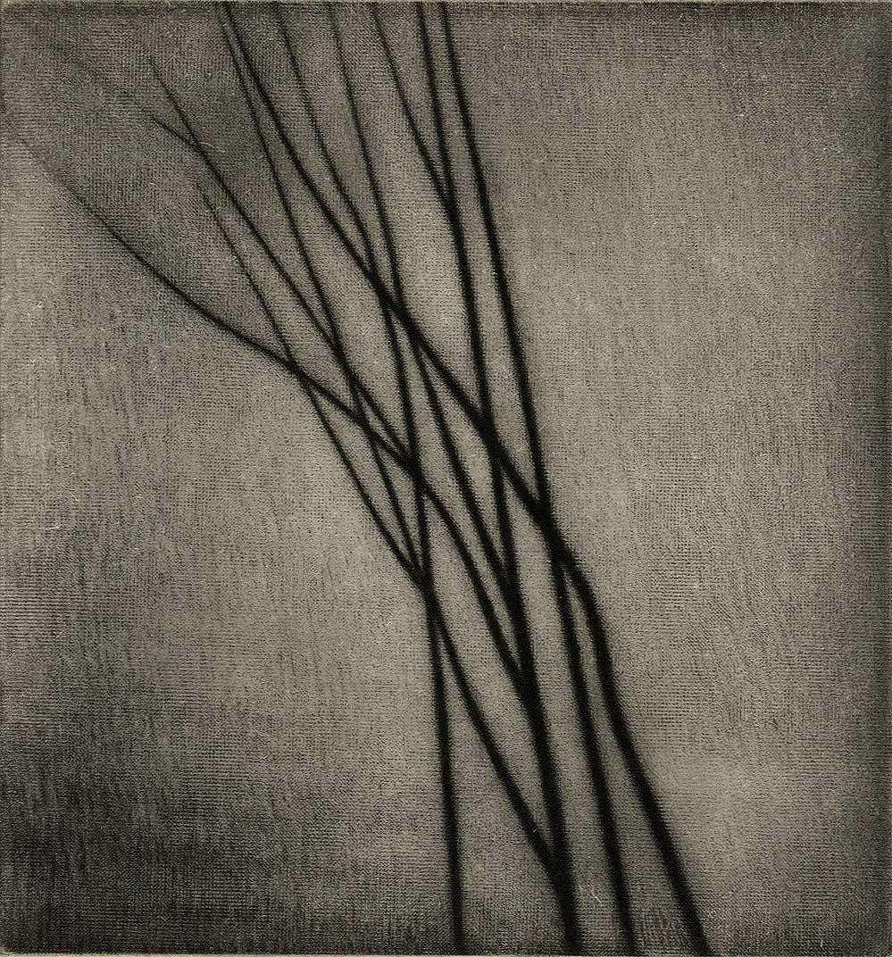 Robert Kipniss Still-Life Print - Bare Branches