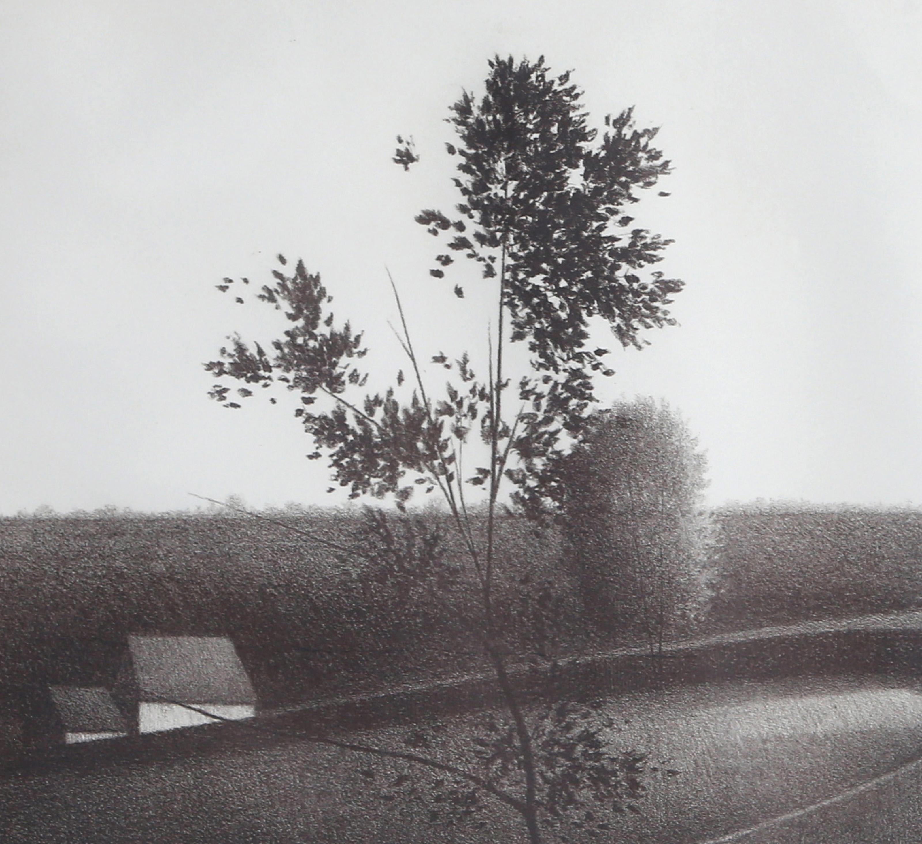 Circular Fence, Modern Lithograph by Robert Kipniss For Sale 1