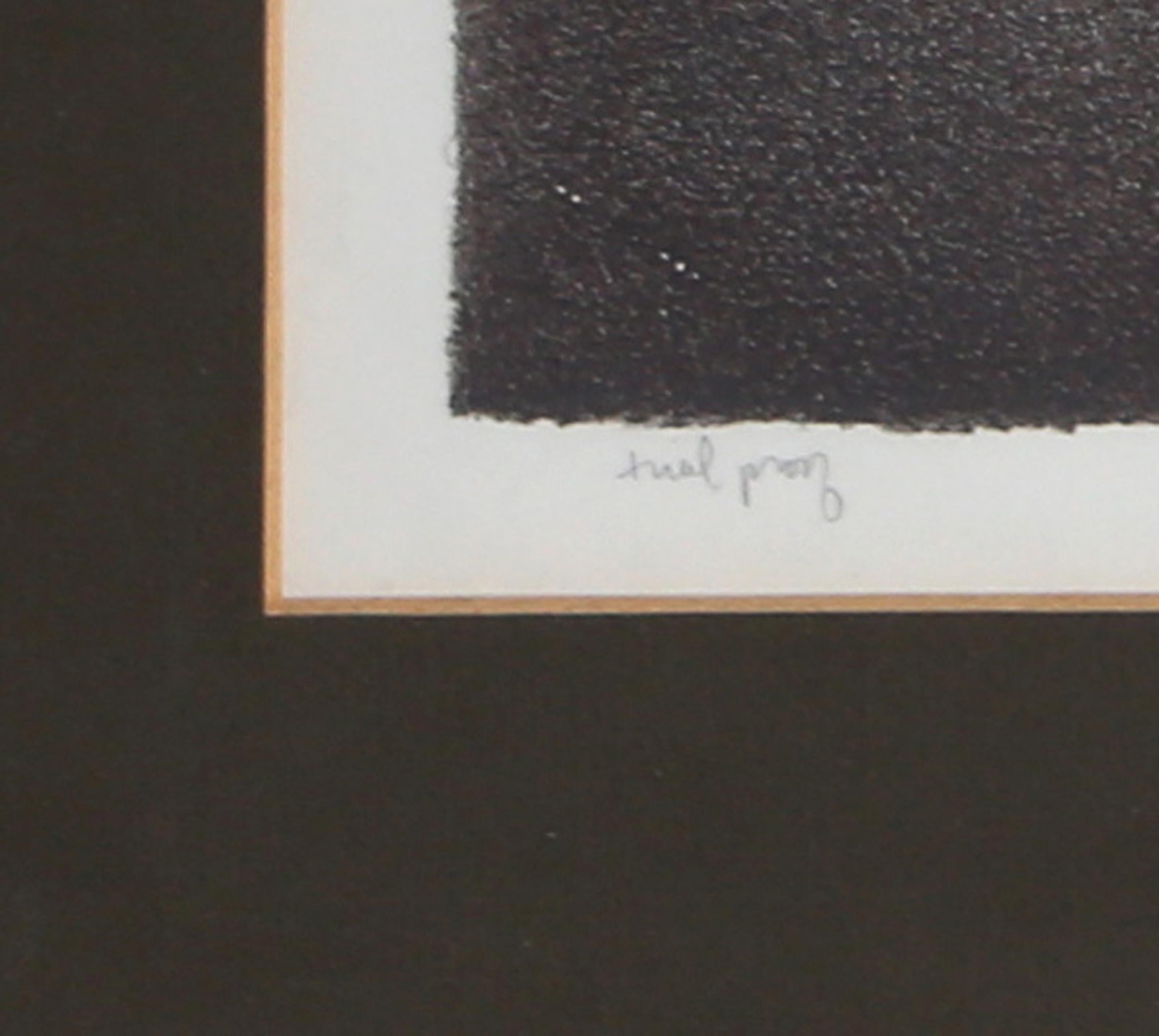 Circular Fence, Modern Lithograph by Robert Kipniss For Sale 2