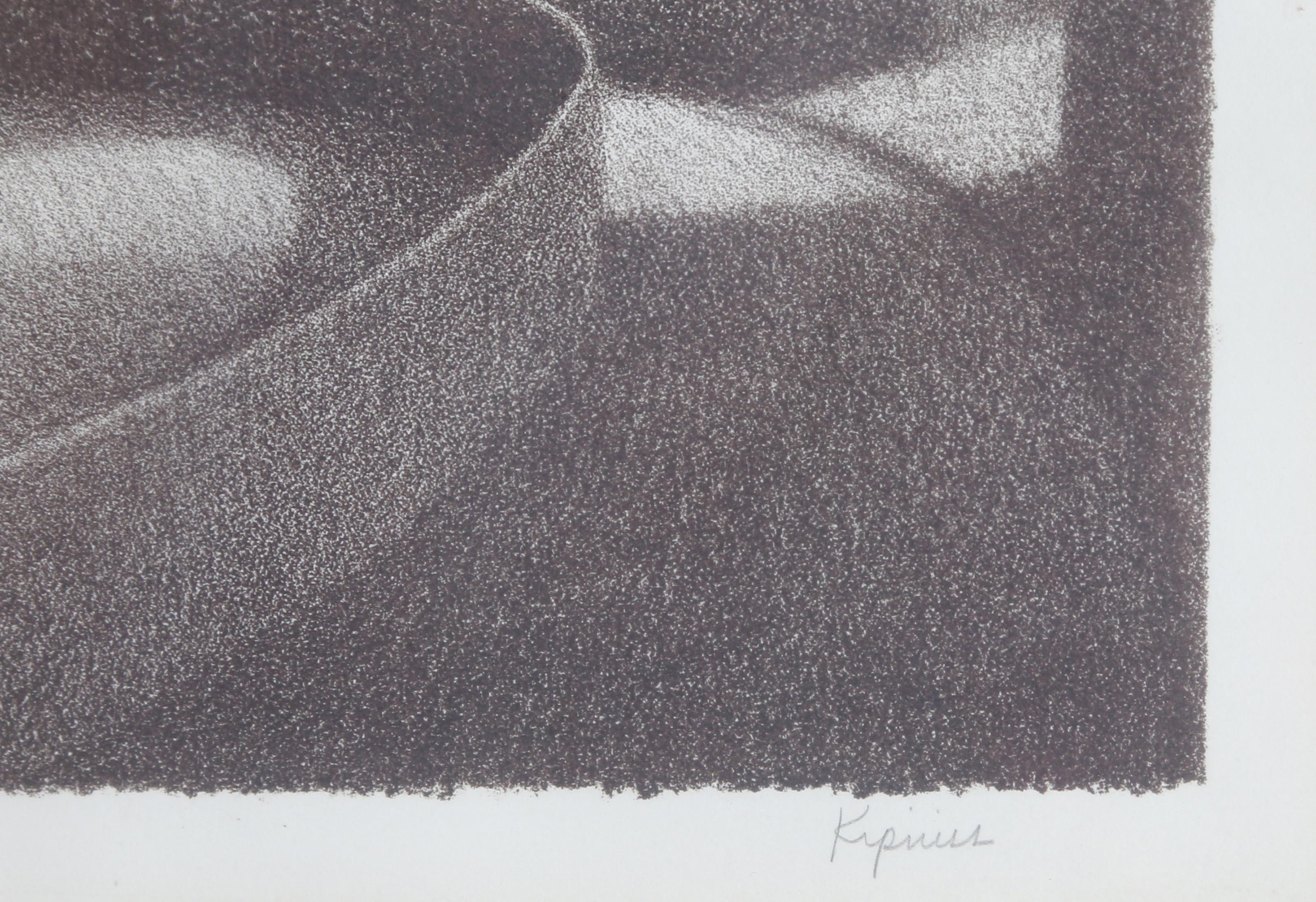 Circular Fence, Modern Lithograph by Robert Kipniss For Sale 3