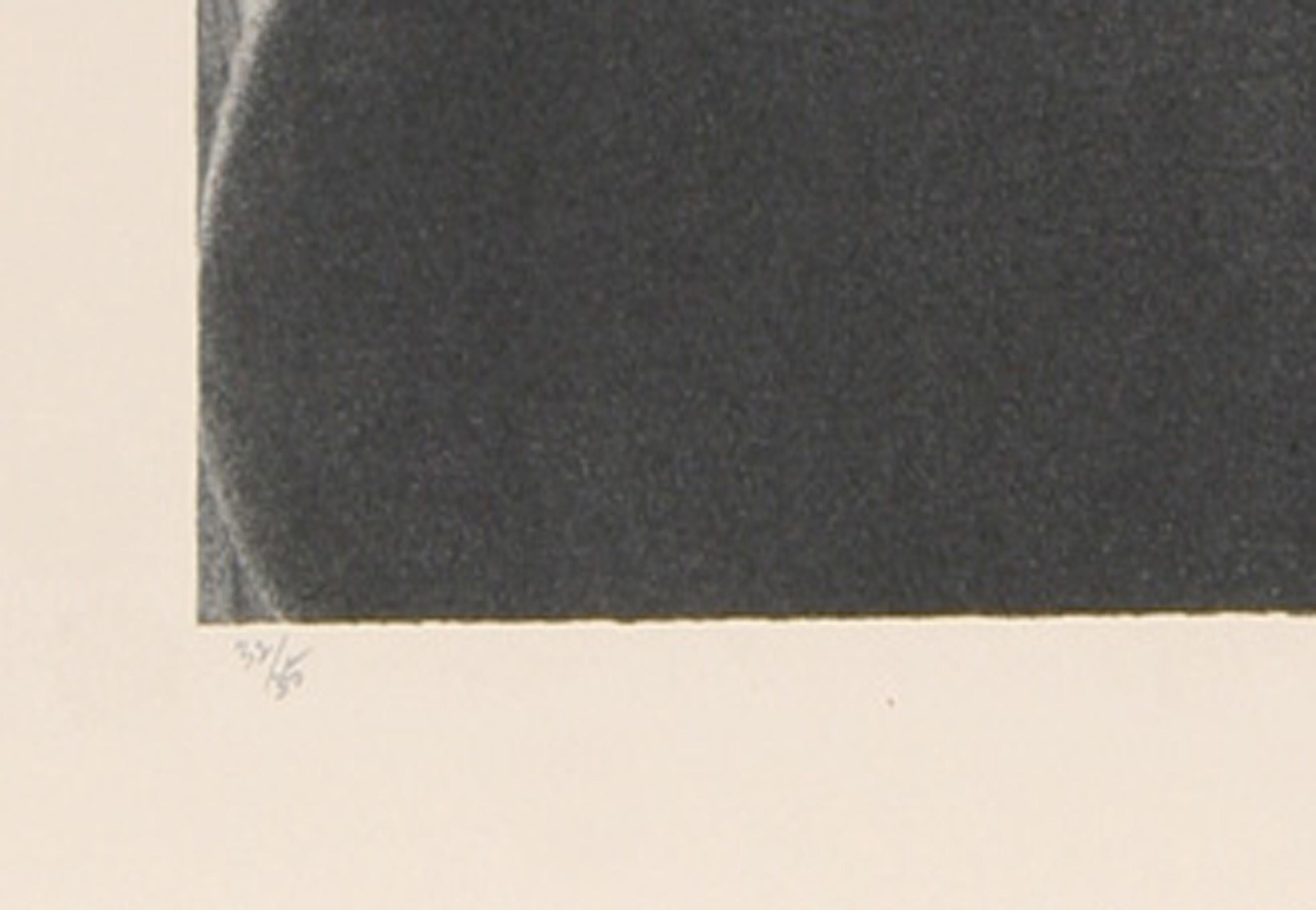 Tende e foglie, litografia moderna di Robert Kipniss in vendita 2