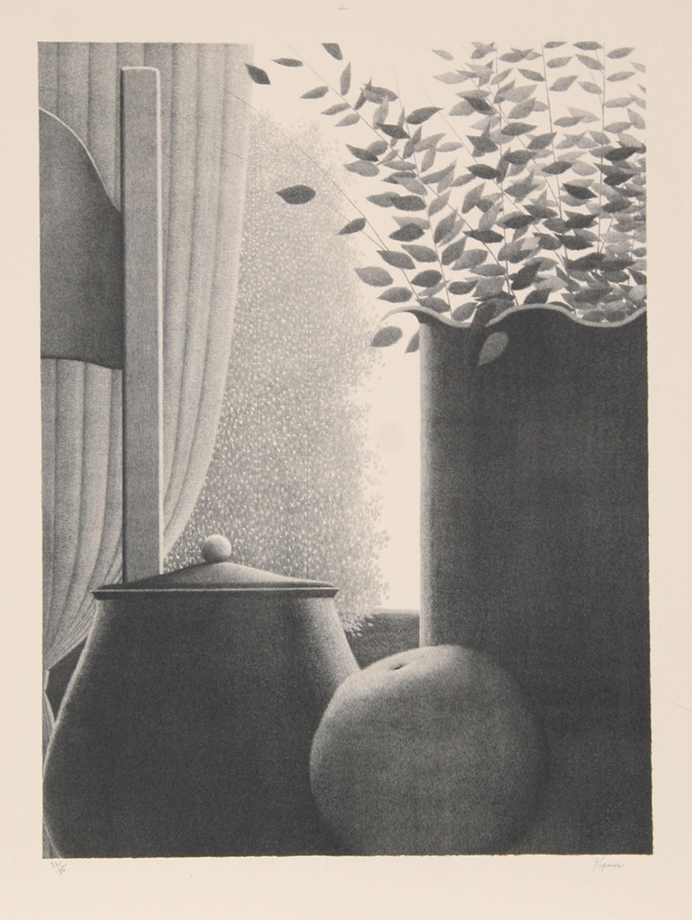 Cortinas y hojas, litografía moderna de Robert Kipniss