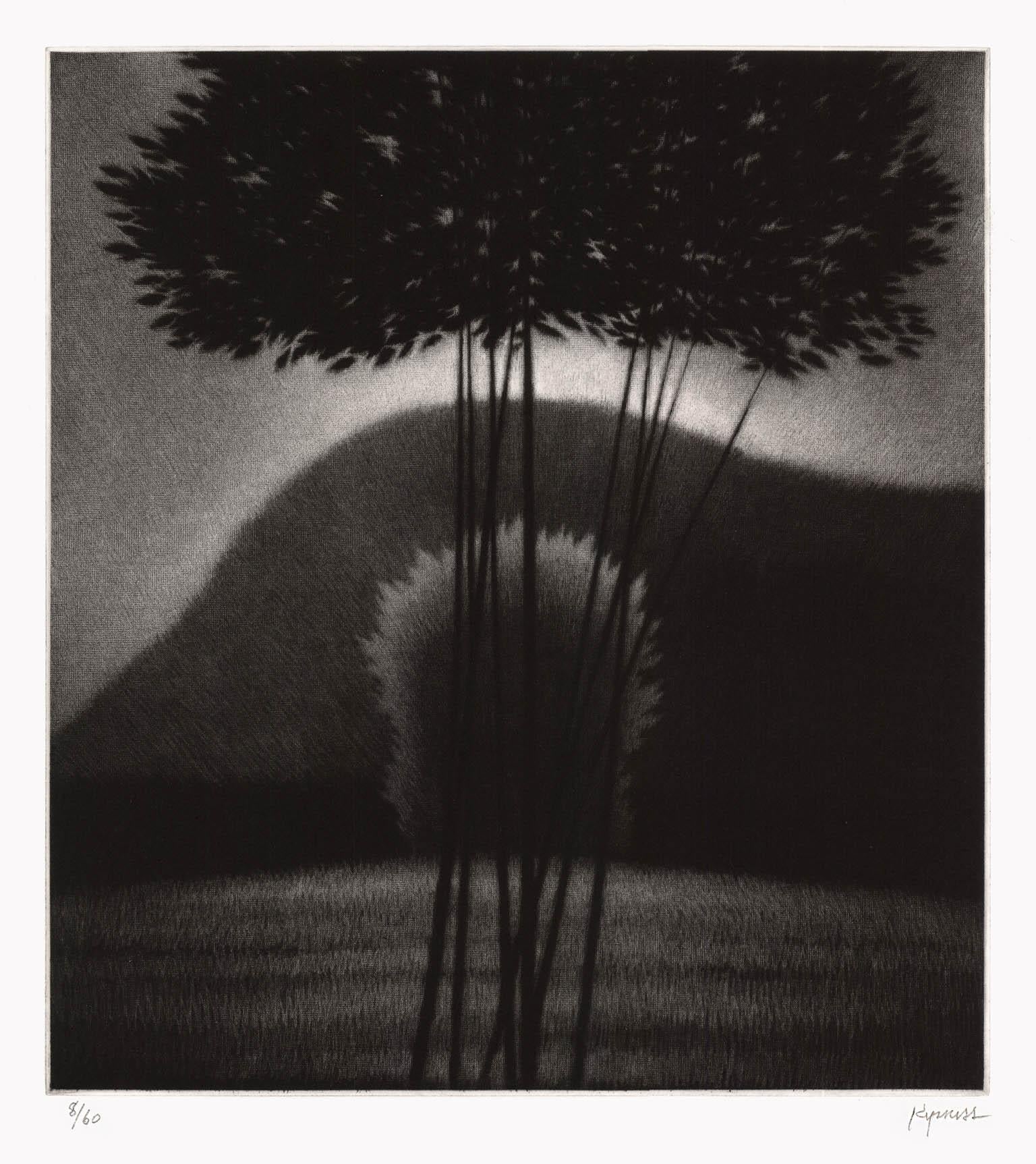 Abend II – Print von Robert Kipniss
